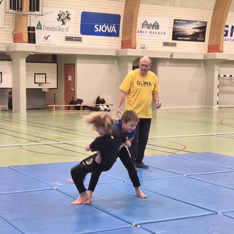 Hælkrókur og sniðglíma