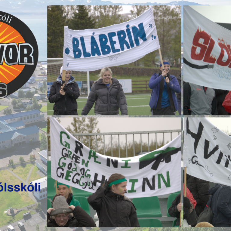 Survivor leikarnir 2026